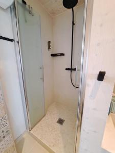 eine Dusche mit einer Glastür in einem Badezimmer in der Unterkunft BUQEZ Villa 30 "Beachvilla Stella" mit SPA & Meerblick in Drage + 37 Fotos