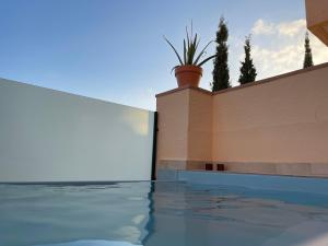 a swimming pool with a wall and a potted plant at Casa Stelios Haciënda del Alamo in Escobar