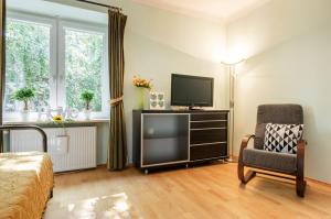 Televízia a/alebo spoločenská miestnosť v ubytovaní Franciszkanska Blueberry Apartment