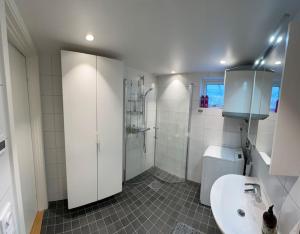a bathroom with a shower and a sink and a toilet at Kojan in Vaxholm
