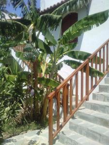 Zahrada ubytování Athina Villas