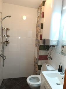 a bathroom with a toilet and a sink at Arte Casa in Burgas City