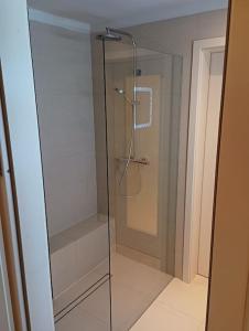 a shower with a glass door in a bathroom at Spacious modern 3 bedroom aparment in Prague