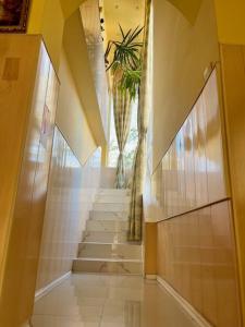 a hallway with stairs in a building with a plant at Pensiune Perla Dunarii in Giurgiu