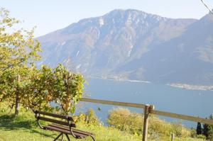 una panchina su una collina che domina un lago di Villetta 56 Blu Yellow and Red Lake view Garden Private Parking by Garda Domus Mea a Tremosine Sul Garda