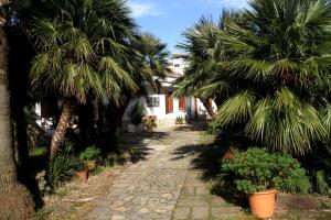 une rue avec des palmiers et une maison dans l'établissement Camera Panoramica in Villa vista Mare e Vesuvio, à Massa Lubrense