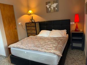 1 dormitorio con 1 cama grande y cabecero negro en 6 Herriko Etxea Plaza, en Bera