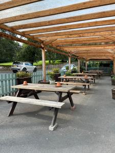 uma fila de mesas de piquenique sob um pavilhão de madeira em Royal Oak Appleby em Appleby