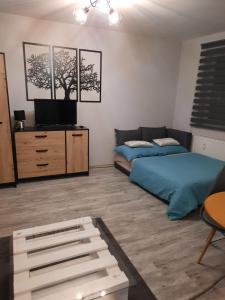 - une chambre avec un lit et une commode avec une télévision dans l'établissement Apartamenty Trzy Wieze, à Varsovie