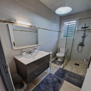 a bathroom with a sink and a shower and a toilet at Kaz'Bongo - Maison pour 6 en pleine nature in Capesterre-Belle-Eau