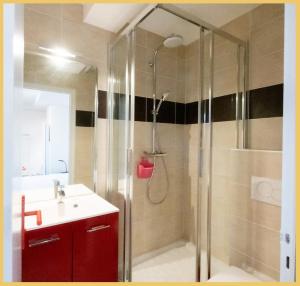 uma casa de banho com um chuveiro e um lavatório. em Le Studio de la Plage - 1er - Proche Évian em Publier