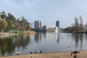 a group of birds standing on the shore of a lake with a fountain at Appartement de standing in Créteil