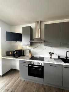 Kuchyň nebo kuchyňský kout v ubytování Apartment Alpenstyle Ennstal