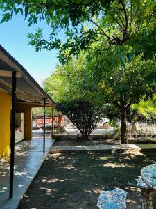 un patio con un árbol y un edificio en Casa de Campo en San Pedro