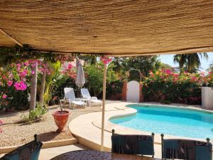 um quintal com uma piscina com cadeiras e flores em Villa bord de mer avec piscine em Sali Tapé