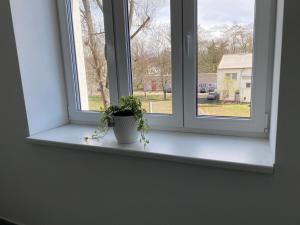 Fotografie z fotogalerie ubytování Perla Hradce v destinaci Hradec Králové