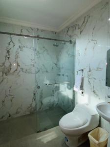 薩利納斯的住宿－HOTEL MARLUZ，一间带卫生间和玻璃淋浴间的浴室