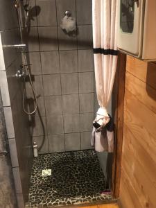eine Dusche mit einem Duschvorhang und einem Duschboden in der Unterkunft Au croque nature in Soultzeren