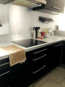 eine Küche mit einer Spüle und einer Arbeitsplatte in der Unterkunft Ambiance Authentique coté gare in Ambérieu-en-Bugey