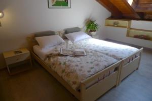 Gallery image of Dolomitissime Holiday Homes Marmolada in Rocca Pietore