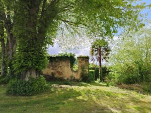 Zahrada ubytování Le Château des Portes
