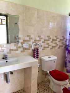 bagno con servizi igienici, lavandino e specchio di KwetuNyumbani away from Home a Mombasa