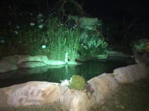Zahrada ubytování Sitio com piscina natural e cascata, com linda vista em Lumiar.