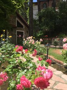 Gallery image of Rose Garden Platres in Platres