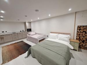 1 dormitorio con 1 cama y 1 silla y cocina en Garden Apartment, sleeps 4, en Leighton Buzzard