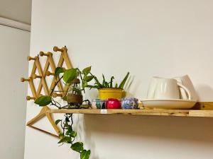 a shelf with plants and dishes on a wall at Sen's Cozy House - 02 Queen beds - Kitchen - Center of Old Quarter, Hoan Kiem district in Hanoi