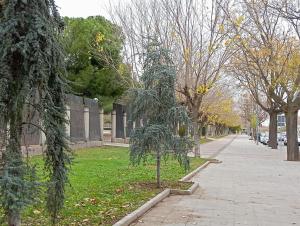 a tree on the side of a sidewalk next to a street at buen lugar trabajo y familiar in Ciudad Real