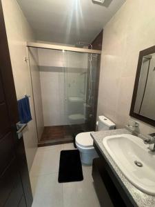een badkamer met een douche, een toilet en een wastafel bij apartamento completo in Cochabamba