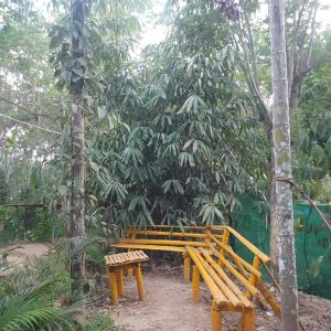 un banco de madera sentado frente a un árbol en White Rose, en Chegāt