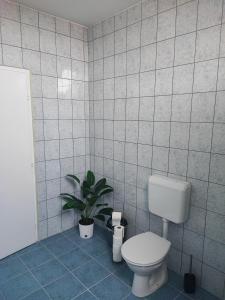 a bathroom with a toilet and a potted plant at Szaffi apartman in Hajdúszoboszló