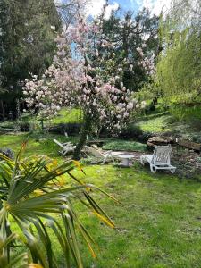 un parco con una panchina e un albero con fiori rosa di Le Bois des Sources a Saint-Marcel