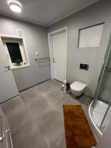 a bathroom with a shower and a toilet in it at Cozy one-bedroom with a view in Molde