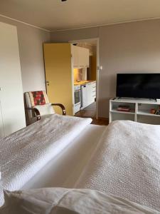 a hotel room with two beds and a television at Cozy one-bedroom with a view in Molde