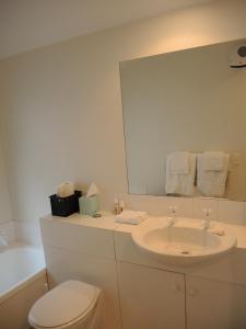 a bathroom with a sink and a toilet and a mirror at Rose Cottage at The Elms in Christchurch