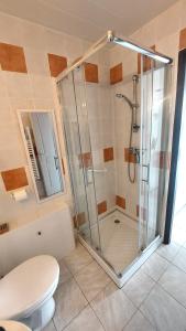 uma cabina de duche na casa de banho com WC em L'Ecrin Meublé de tourisme classé 3 étoiles em La Bâtie-Neuve