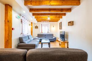 a living room with two couches and a tv at Gite St Joseph gitesdes2vallees in Ventron