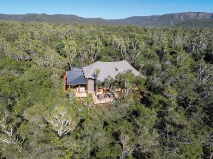 an aerial view of a house in the middle of a forest at Kariega Game Reserve Settlers Drift in Alexandria