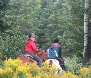 two people riding on horses in the woods at Meadowlark Cabin #5 in Maynooth
