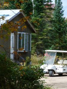 ein Golfwagen, der vor einem winzigen Haus parkt in der Unterkunft Meadowlark Cabin #5 in Maynooth