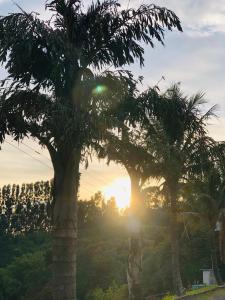 duas palmeiras com o pôr do sol no fundo em Casa do Vale em Serra Negra