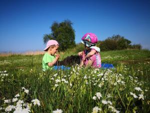 Επισκέπτες που μένουν στο Haus Fink, Tolles Ferienhaus in Fuhlendorf mit Sonniger Terrasse