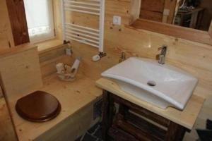 克林根塔爾的住宿－Schöne Wohnung in Klingenthal mit Garten, Grill und Terrasse，小木屋内带水槽的浴室