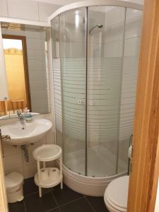 een badkamer met een douche, een wastafel en een toilet bij Apartments and rooms Iva in Pag