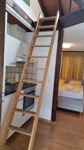 a ladder leading up to a bunk bed in a room at Brienz Strasse in Interlaken