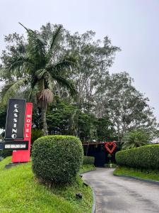 Κήπος έξω από το Cassino Motel 4