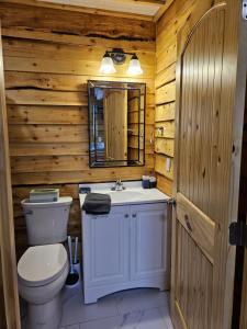 a bathroom with a toilet and a sink and a mirror at Halibut Haven, Cabin 7 at Lower Kenai Lodge in Kenai +71 photos